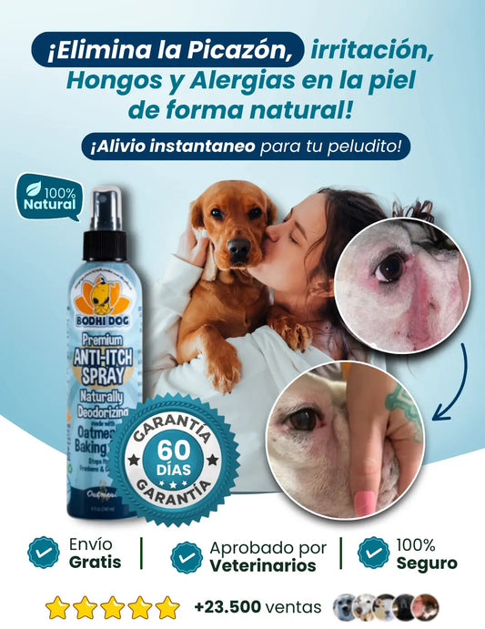 Spray Bodhi Dog